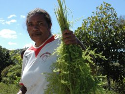 Nouvelle Calédonie 018