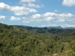 Nouvelle Calédonie 020