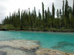 Nouvelle Calédonie 079