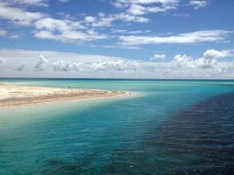 Nouvelle Calédonie 104