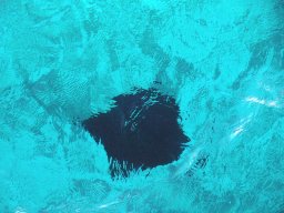 Nouvelle Calédonie 109