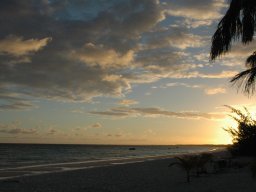 Nouvelle Calédonie 116