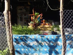 Nouvelle Calédonie 159