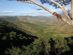 Nouvelle Calédonie 161