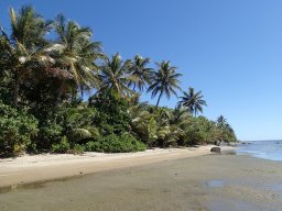 Nouvelle Calédonie 174