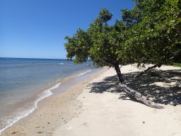 Nouvelle Calédonie 177