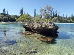 Nouvelle Calédonie 205