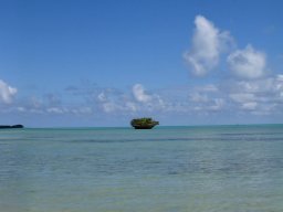 Nouvelle Calédonie 209