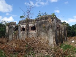 Nouvelle Calédonie 215