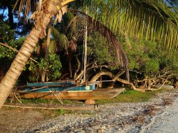 Nouvelle Calédonie 221