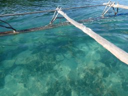 Nouvelle Calédonie 222