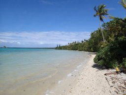 Nouvelle Calédonie 224