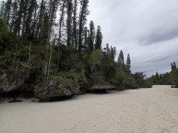 Nouvelle Calédonie 225