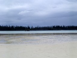 Nouvelle Calédonie 226