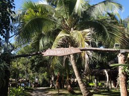 Nouvelle Calédonie 229