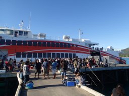 Nouvelle Calédonie 231