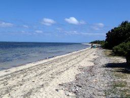 Nouvelle Calédonie 275