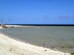 Nouvelle Calédonie 279