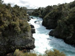 Nouvelle Zélande 022