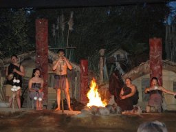 Nouvelle Zélande 030