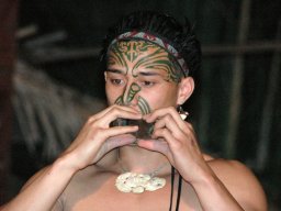 Nouvelle Zélande 032