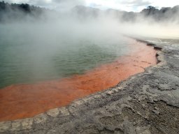 Nouvelle Zélande 169