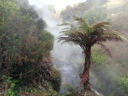 Nouvelle Zélande 174