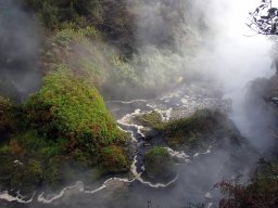 Nouvelle Zélande 175