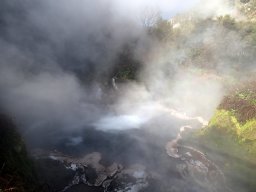 Nouvelle Zélande 176