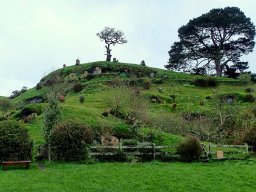 Nouvelle Zélande 194