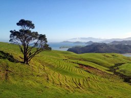 Nouvelle Zélande 201