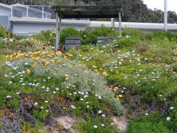 Nouvelle Zélande 211