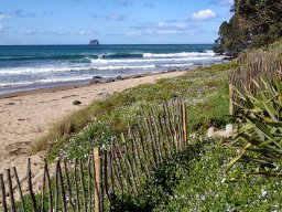 Nouvelle Zélande 213