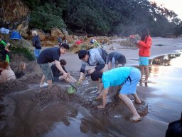 Nouvelle Zélande 216