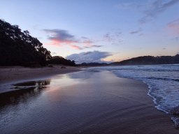 Nouvelle Zélande 218